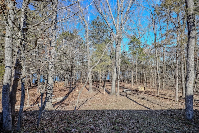 139 Cherokee Dr, Kimberling City, MO 65686 - view of yard