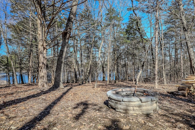 139 Cherokee Dr, Kimberling City, MO 65686 - view of yard