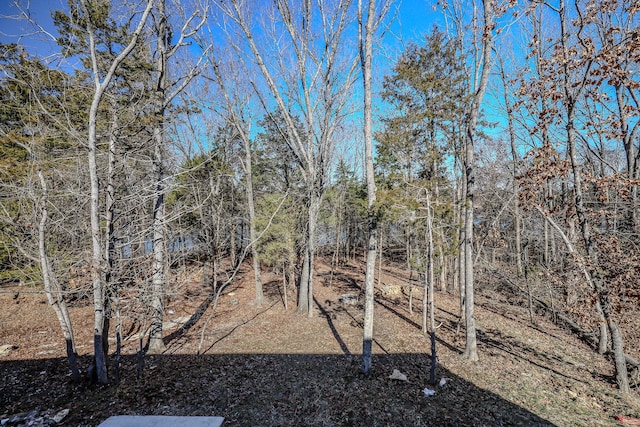 139 Cherokee Dr, Kimberling City, MO 65686 - view of yard