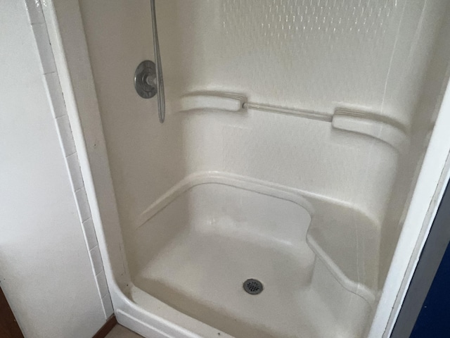 9556 N State Highway H, Pleasant Hope, MO 65725 - bathroom featuring a stall shower