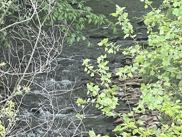 9556 N State Highway H, Pleasant Hope, MO 65725 - view of local wilderness