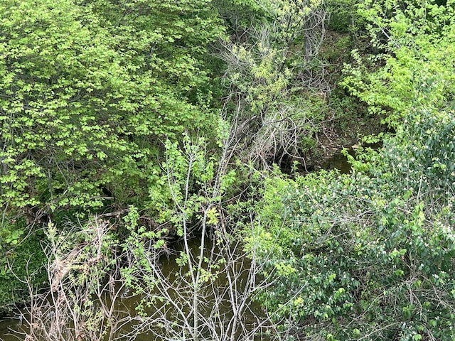 9556 N State Highway H, Pleasant Hope, MO 65725 - view of local wilderness