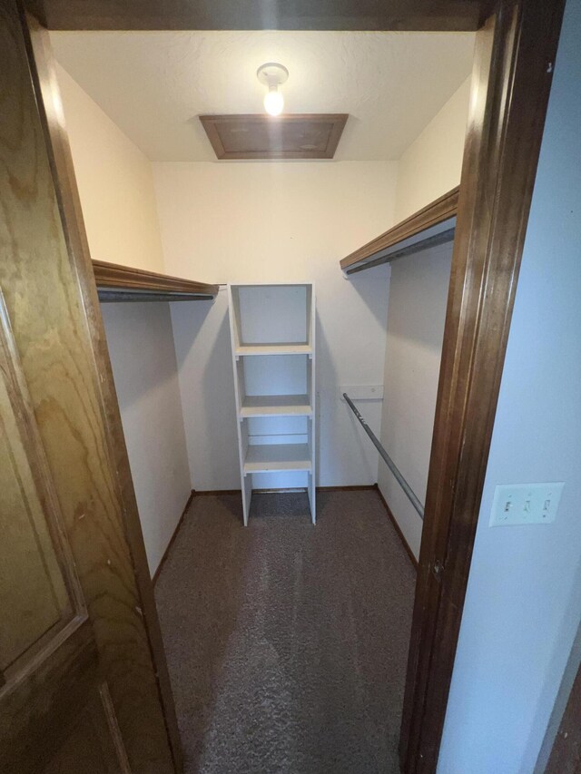 9556 N State Highway H, Pleasant Hope, MO 65725 - walk in closet with carpet and attic access