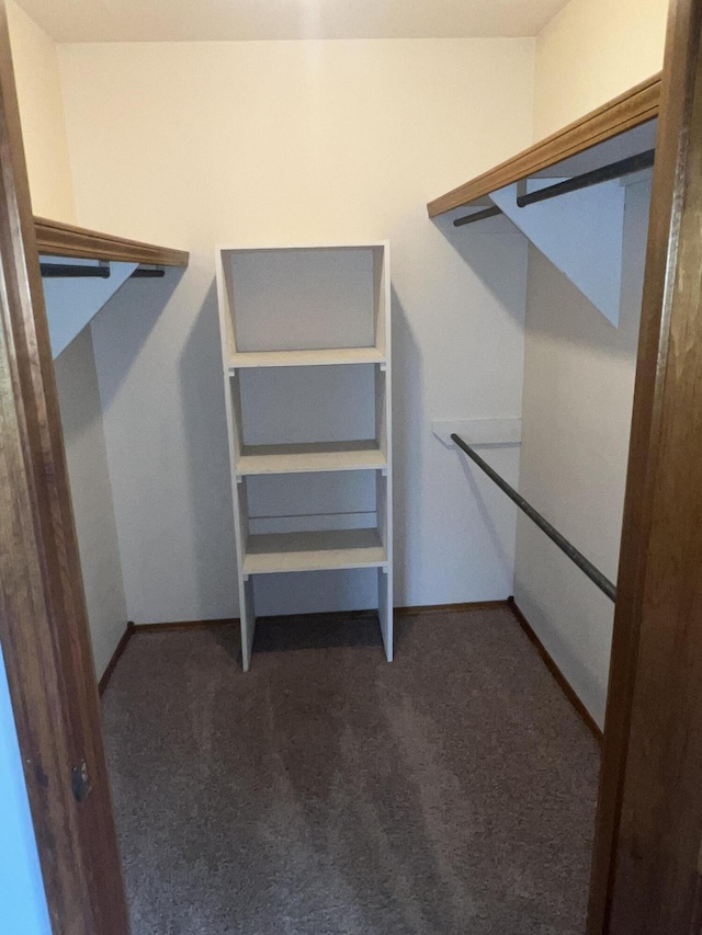 9556 N State Highway H, Pleasant Hope, MO 65725 - spacious closet featuring carpet flooring