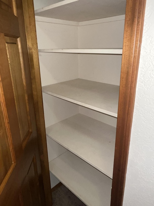 9556 N State Highway H, Pleasant Hope, MO 65725 - view of closet