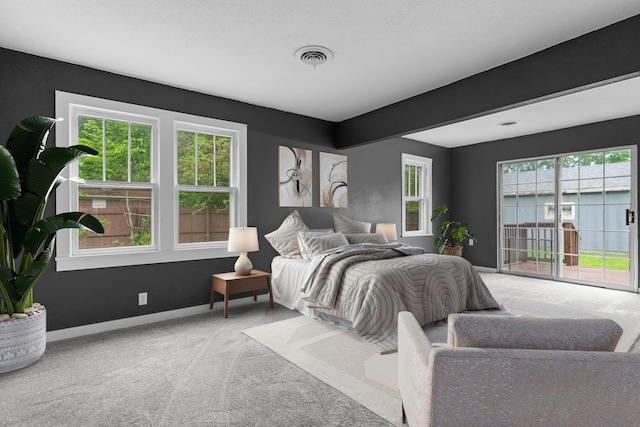 bedroom featuring multiple windows, carpet floors, baseboards, and access to exterior