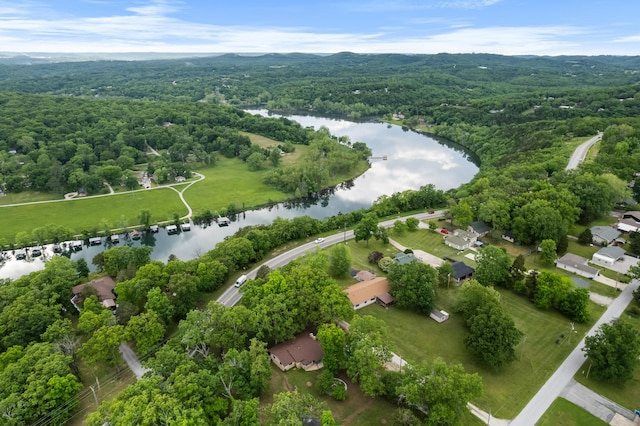 aerial view of a nearby body of water and a forest