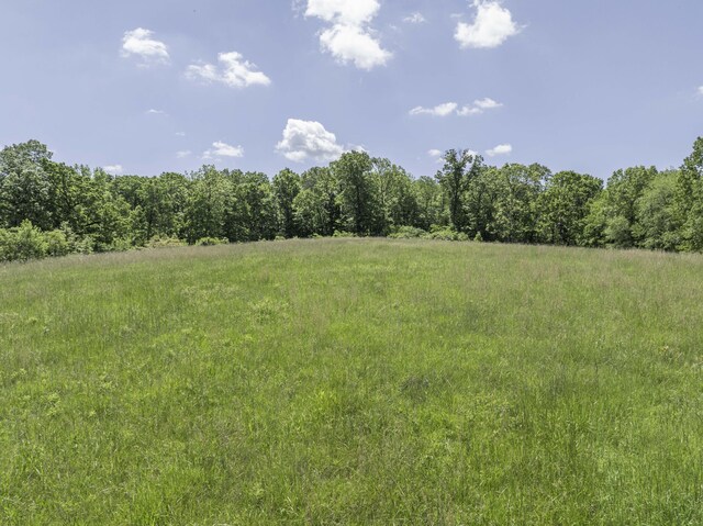 12056 Farm Rd Unit 1100, Purdy, MO 65734 - photo 42