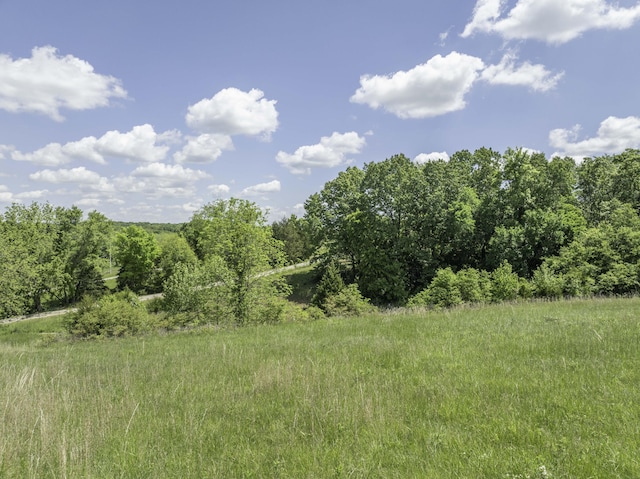 12056 Farm Rd Unit 1100, Purdy, MO 65734 - photo 41