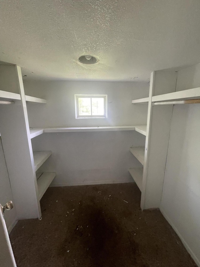 421 N Phelps St, Mansfield, MO 65704 - view of spacious closet