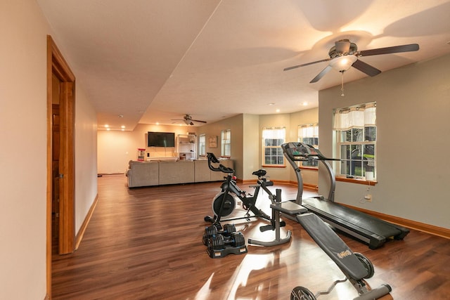 143 Woodfield Dr, Highlandville, MO 65669 - exercise room featuring a ceiling fan, wood finished floors, and baseboards