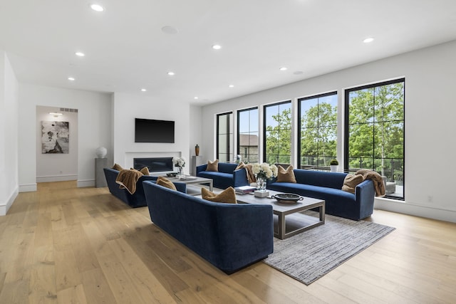 273 Secret Ln, Branson West, MO 65737 - living area featuring recessed lighting, light wood finished floors, a glass covered fireplace, and baseboards