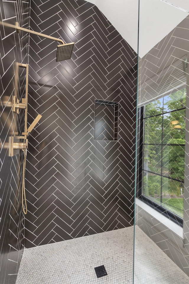 273 Secret Ln, Branson West, MO 65737 - full bathroom with a walk in shower