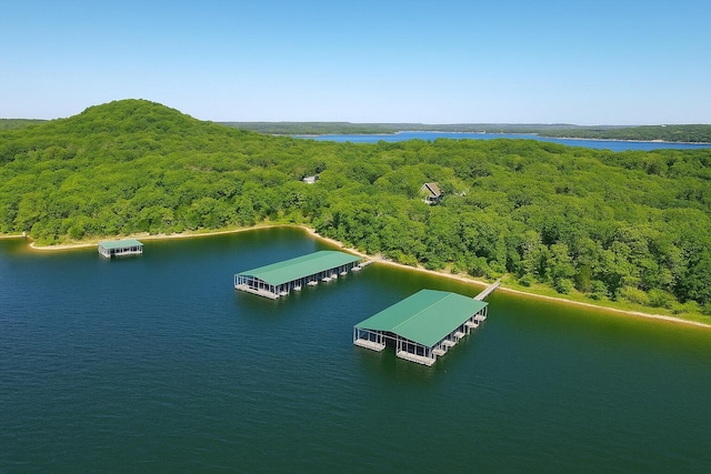 273 Secret Ln, Branson West, MO 65737 - aerial view of a forest and a nearby body of water