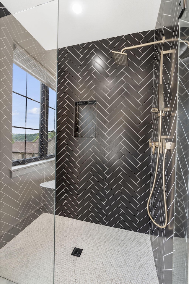 273 Secret Ln, Branson West, MO 65737 - bathroom featuring a walk in shower