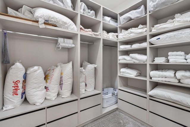 273 Secret Ln, Branson West, MO 65737 - view of spacious closet