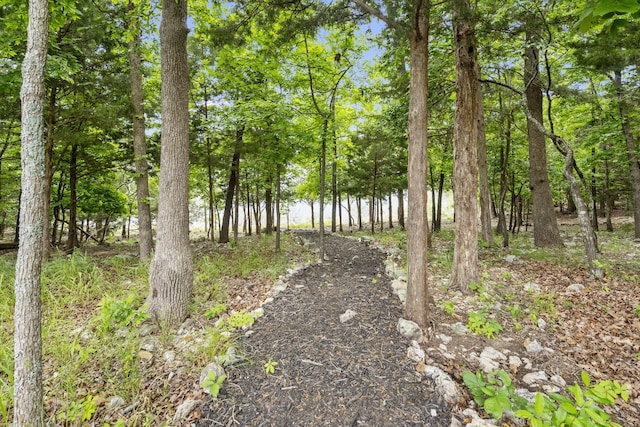 273 Secret Ln, Branson West, MO 65737 - view of local wilderness
