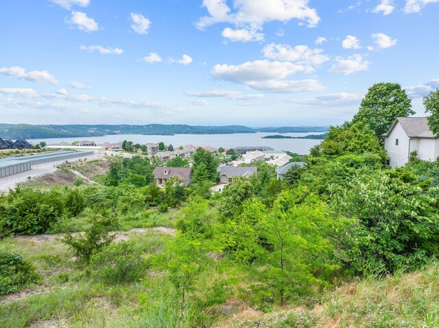 LOT1 Split Rock Dr, Hollister, MO 65672 - photo 20