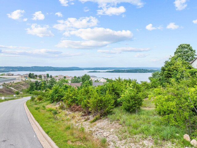 LOT1 Split Rock Dr, Hollister, MO 65672 - photo 10
