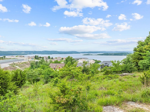 LOT1 Split Rock Dr, Hollister, MO 65672 - photo 11