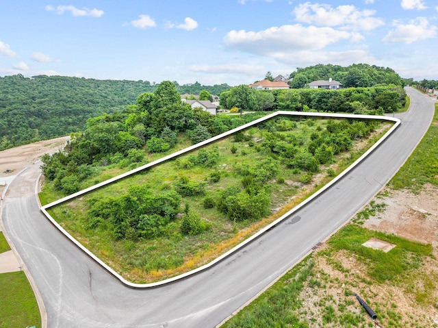 LOT1 Split Rock Dr, Hollister, MO 65672 - photo 2