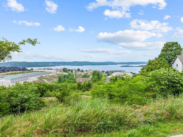 LOT1 Split Rock Dr, Hollister, MO 65672 - photo 8