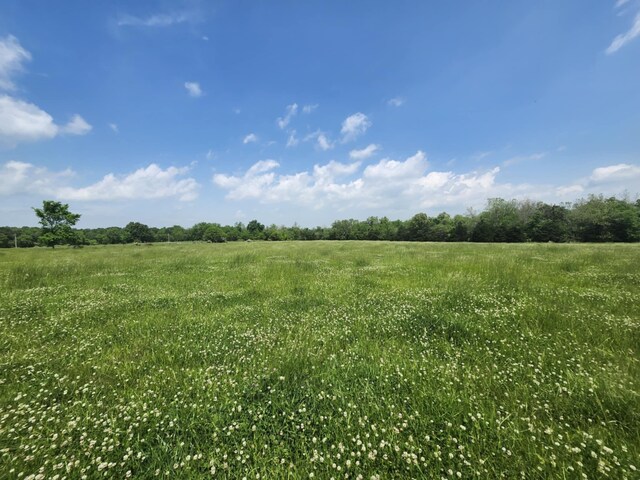 000 Wolfe Dr, Mountain Grove, MO 65711 - photo 4