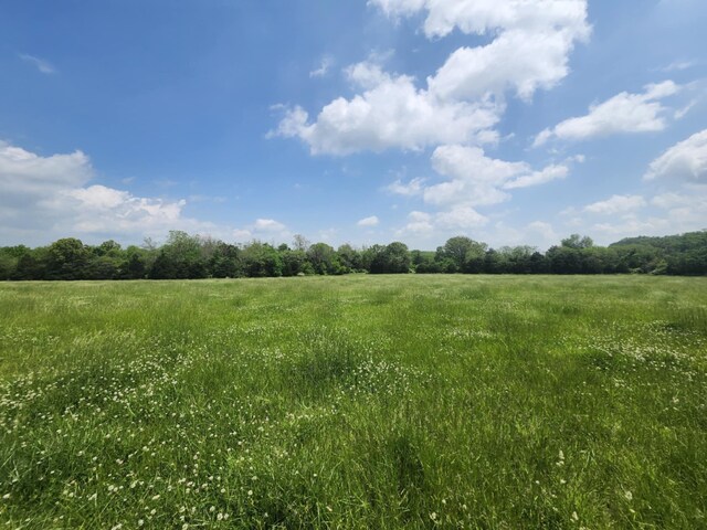 000 Wolfe Dr, Mountain Grove, MO 65711 - photo 20