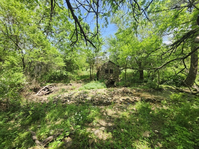 000 Wolfe Dr, Mountain Grove, MO 65711 - photo 1