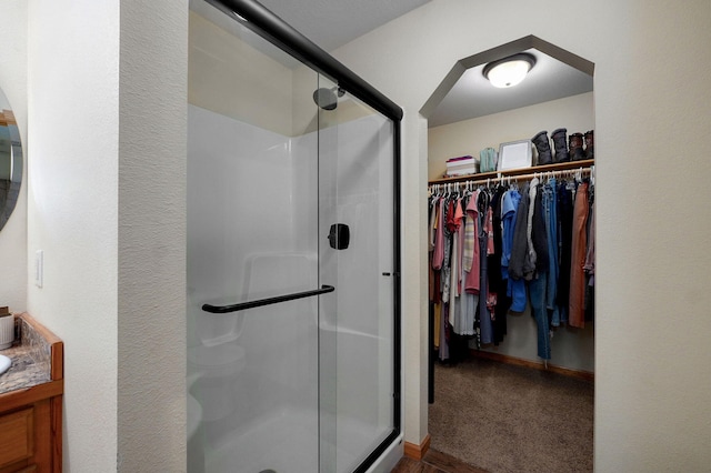 311 W Hayes Rd, Clever, MO 65631 - full bath featuring a stall shower, a walk in closet, and vanity