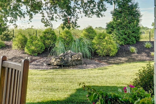 3900 E Dunrobin Dr, Springfield, MO 65809 - view of yard