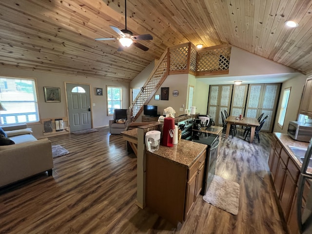 941 Peace In The Valley Rd, Blue Eye, MO 65611 - living room with dark wood finished floors, plenty of natural light, a ceiling fan, high vaulted ceiling, and wooden ceiling