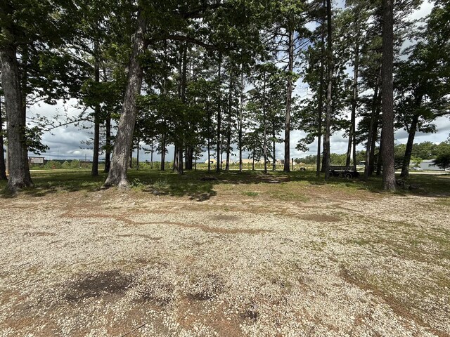 9468 State Highway 19, Winona, MO 65588 - photo 3