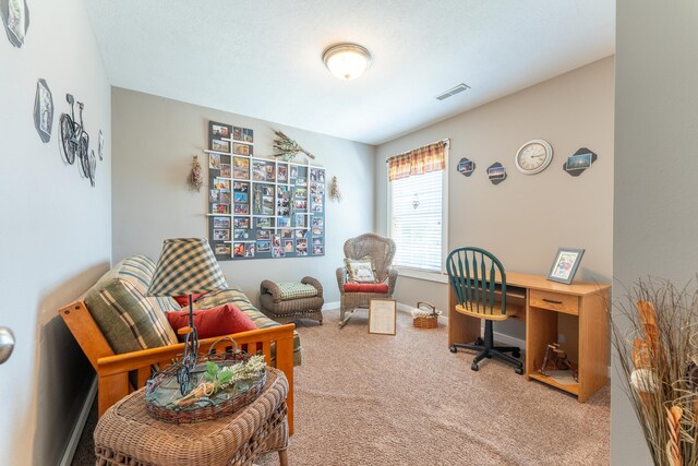 522 E Grace St, Republic, MO 65738 - office featuring light carpet and baseboards