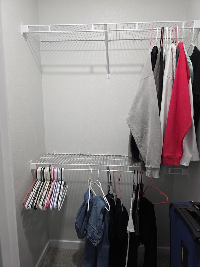 552 S Michelle Ave, Republic, MO 65738 - spacious closet with carpet flooring