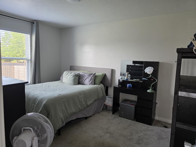 552 S Michelle Ave, Republic, MO 65738 - bedroom with light colored carpet