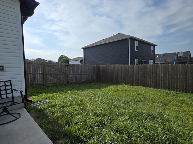 552 S Michelle Ave, Republic, MO 65738 - view of yard