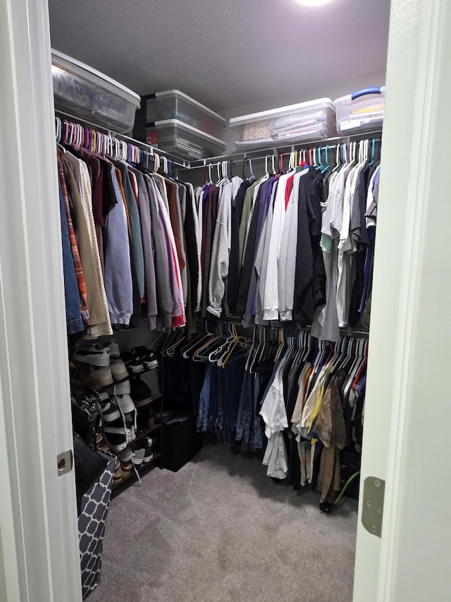 552 S Michelle Ave, Republic, MO 65738 - spacious closet with carpet floors