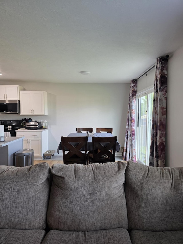 552 S Michelle Ave, Republic, MO 65738 - living room with light wood-style floors and recessed lighting