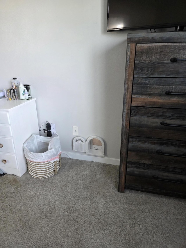 552 S Michelle Ave, Republic, MO 65738 - detailed view of carpet floors