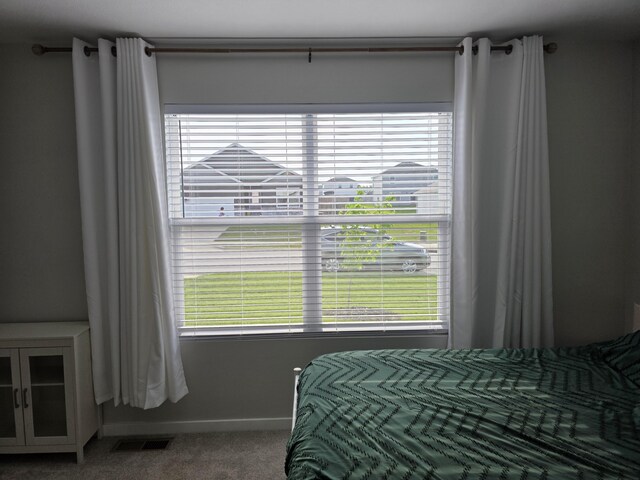 552 S Michelle Ave, Republic, MO 65738 - bedroom featuring carpet and multiple windows
