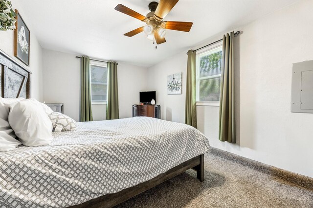 2221 W Nichols St, Springfield, MO 65802 - carpeted bedroom with electric panel and ceiling fan