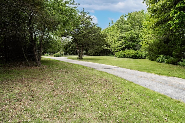 358 High Ridge Rd, Marshfield, MO 65706 - view of street