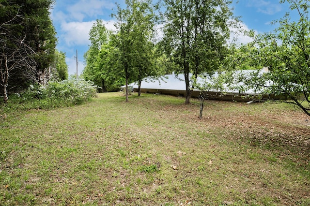 358 High Ridge Rd, Marshfield, MO 65706 - view of grassy yard
