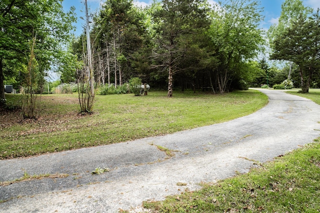 358 High Ridge Rd, Marshfield, MO 65706 - view of street