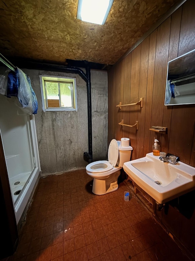 3036 P Hwy, Alton, MO 65606 - bathroom featuring a stall shower, toilet, wood walls, and a sink