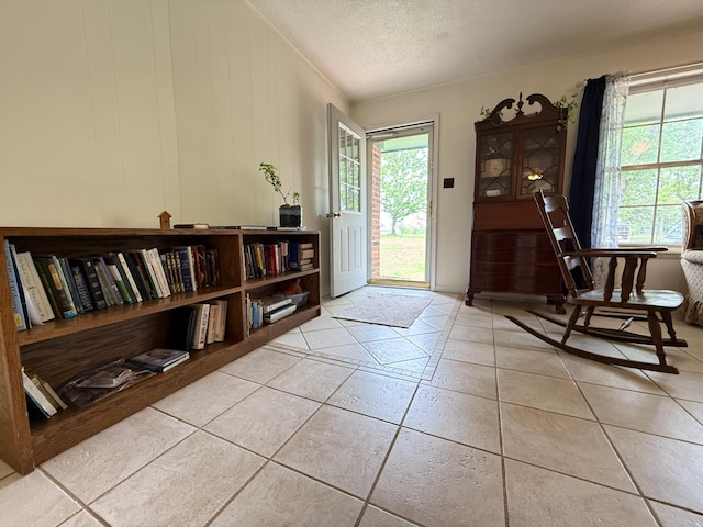 3036 P Hwy, Alton, MO 65606 - foyer entrance with a textured ceiling and light tile patterned floors