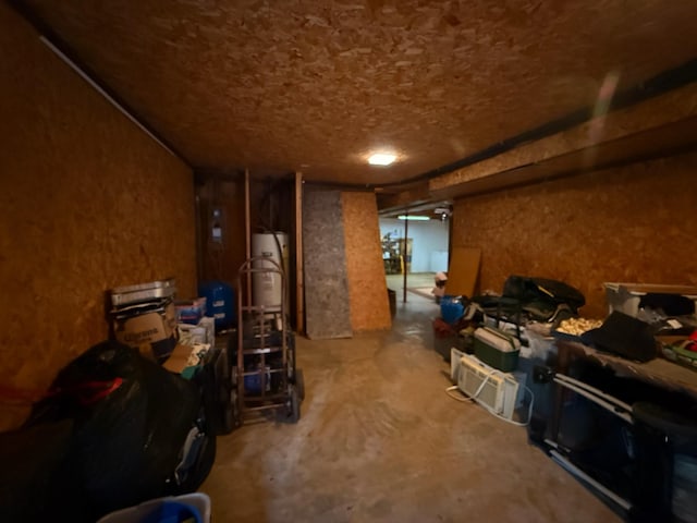 3036 P Hwy, Alton, MO 65606 - storage area with water heater