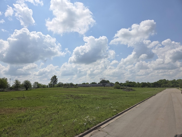990 N Lindsey Ave Lot 17, Republic, MO 65738 - photo 1