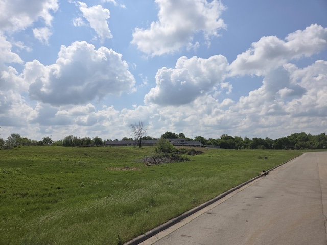 990 N Lindsey Ave Lot 17, Republic, MO 65738 - photo 3